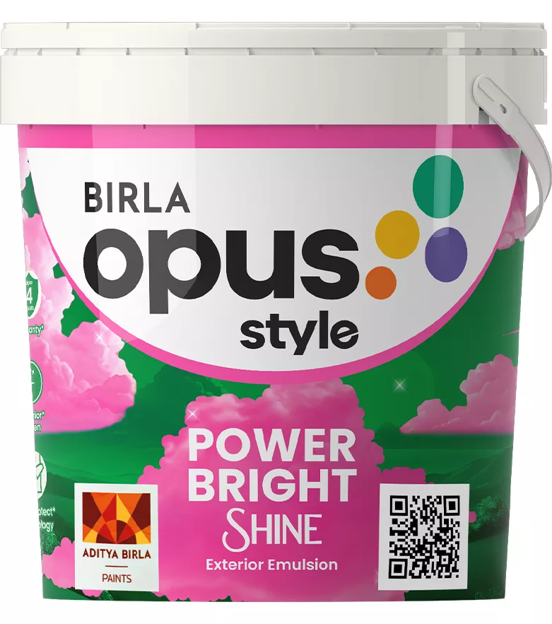 Style Power Bright Shine